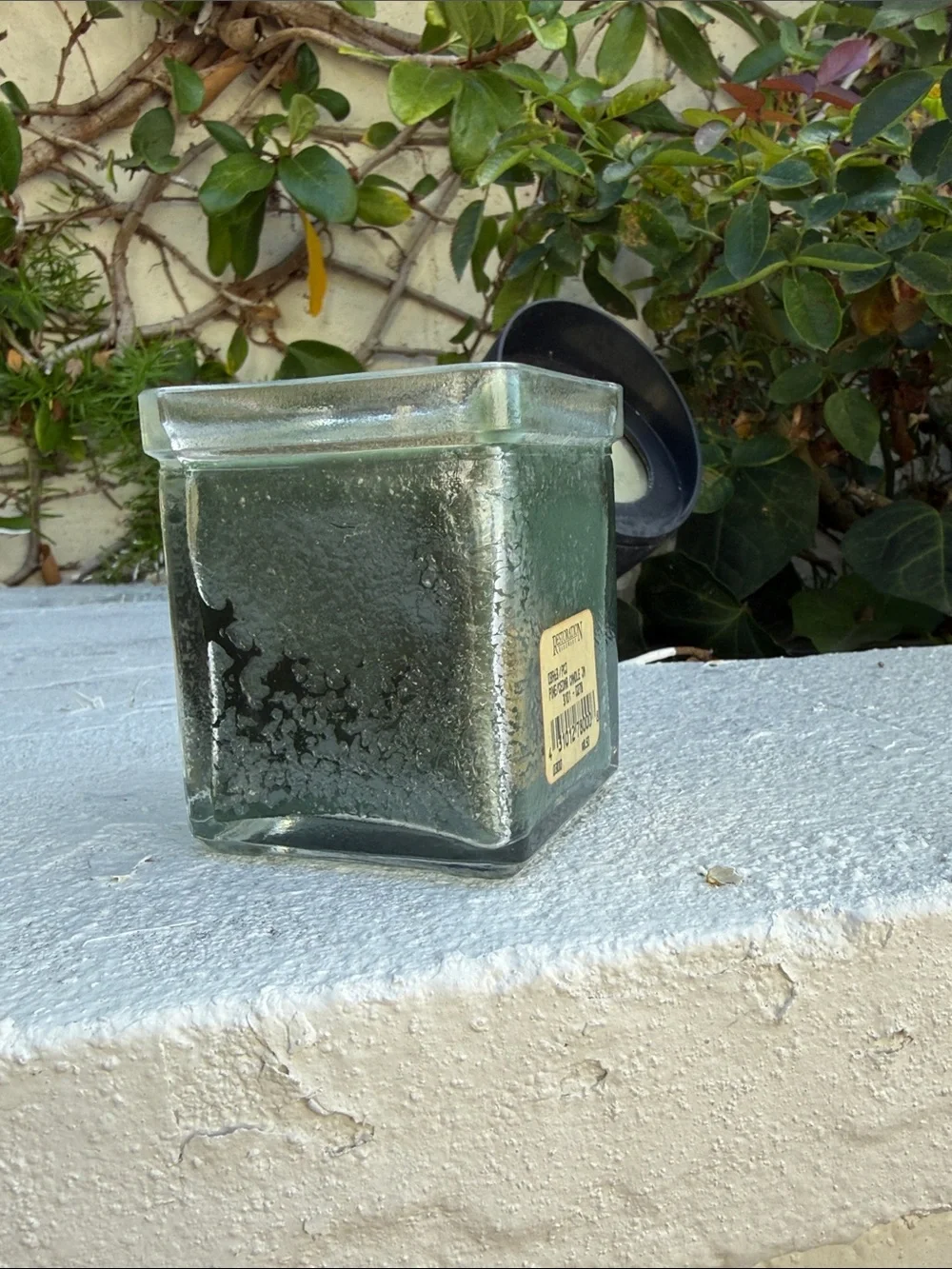 NEW Restoration Hardware discontinued Pine & Cedar holiday candle